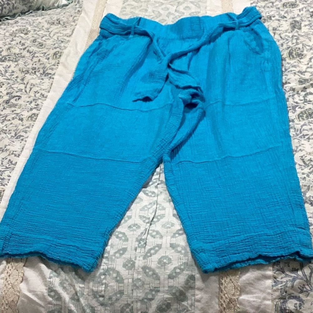 Tommy Hilfiger Vibrant Blue Cropped Pants